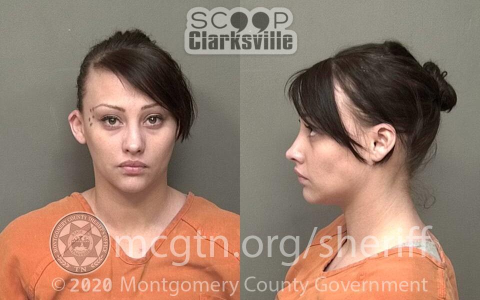 Danielle Reich Booked On Charges Including Drug Methamphetamine Violation Booked Scoop 6188