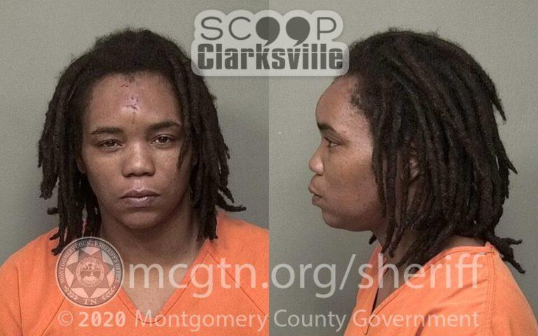 TYSHENEA BELLAMY BOOKED ON CHARGES INCLUDING: DOMESTIC ASSAULT – Booked ...